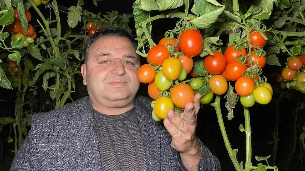 Termometrelerin Eksiye Düştüğü Mersin’de Zirai Don Seferberliği 6